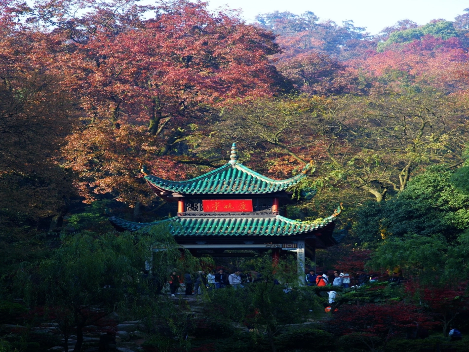 古诗两首山行枫桥夜泊_第3页