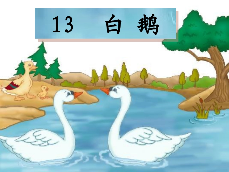 四年级《白鹅》ppt课件_第1页