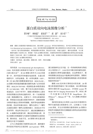 蛋白质双向电泳图像分析