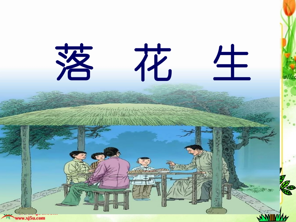 15、落花生_第1页