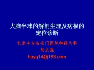 大脑半球的解剖生理及病损的定位诊断