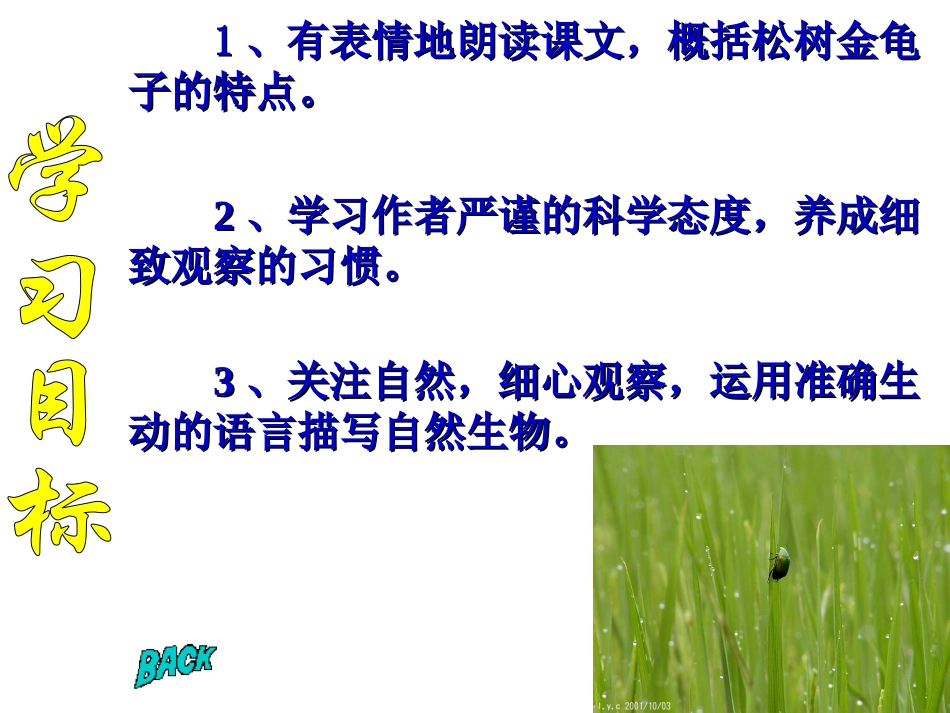 语文：4[1].16松树金龟子课件(苏教版七年级下)_第3页