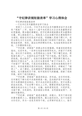 “守纪律讲规矩做表率”学习心得体会