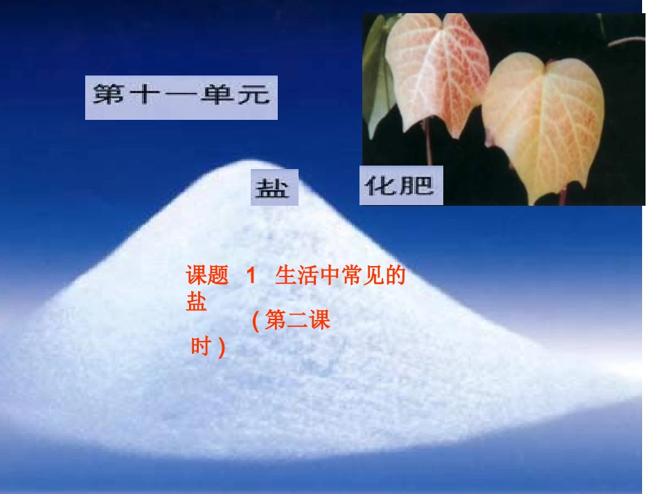 生活中常见的盐(第2课时)_第1页
