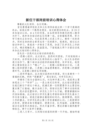 新任干部岗前培训心得体会