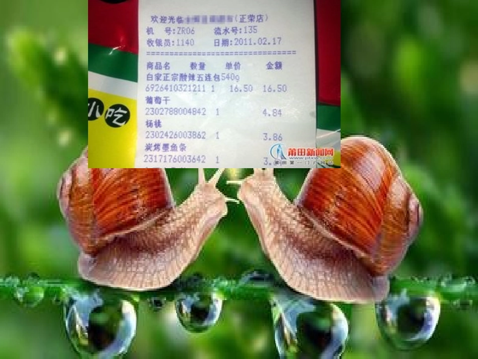 人教2011版小学数学三年级小数的初步认识-(3)_第2页