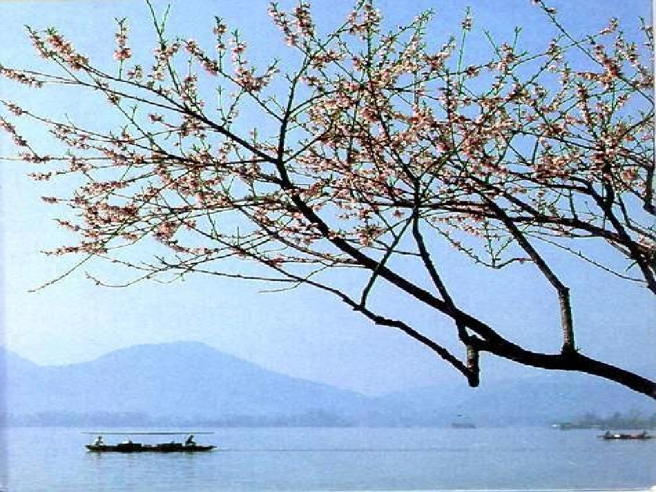 小学语文一年级课件-棉花姑娘1_第2页