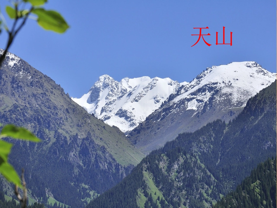 聆听新疆舞曲第二号_第2页