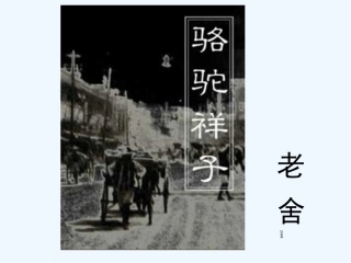 (部编)初中语文人教2011课标版七年级下册《骆驼祥子》导读教学课件