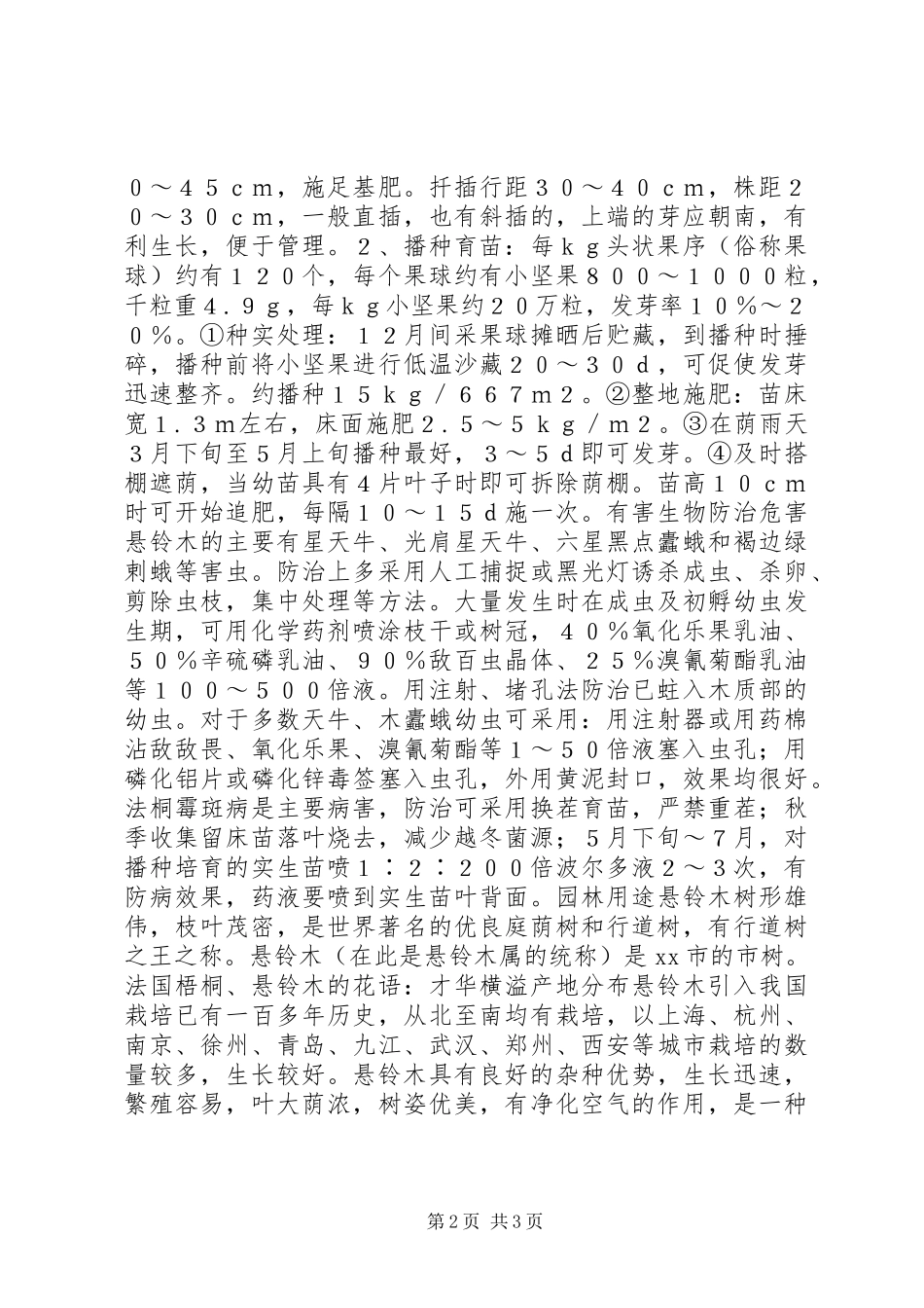 三球悬铃木（法国梧桐）_第2页