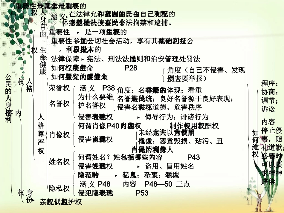 复习法律2(公民的人身权利)_第2页