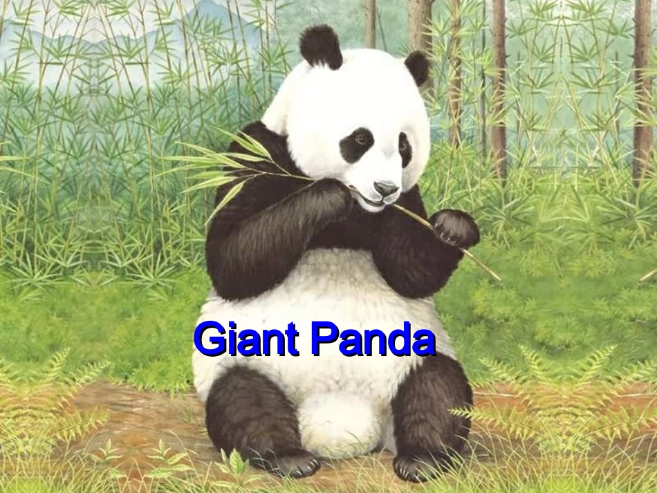 Unit4WildlifeProtection_第3页