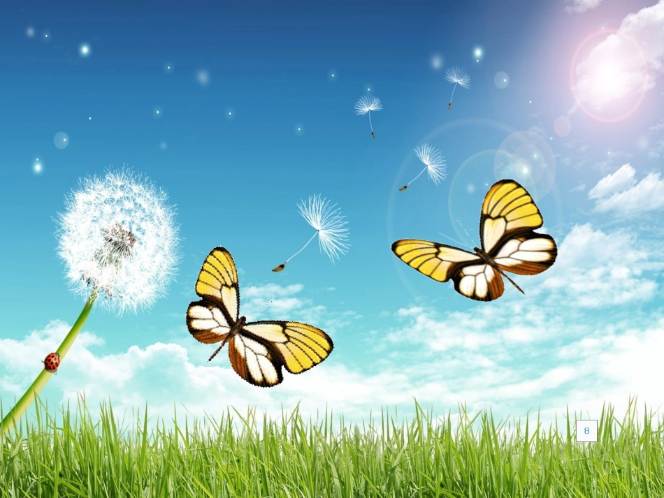 九年级语文上册-第二单元第八课《致女儿的信》课件-人教新课标版_第1页