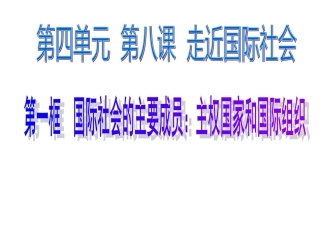 ：《国际社会的主要成员：主权国家和国际组织》2
