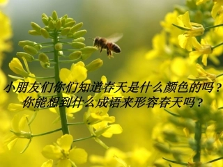 二语下1、找春天课件