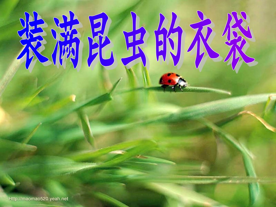 5装满昆虫的衣袋2_第1页