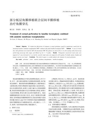 部分板层角膜移植联合层间羊膜移植 谢立信