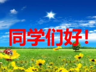 人教2011版小学数学三年级简单的搭配问题二