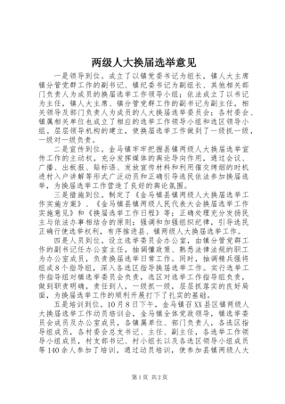 两级人大换届选举意见