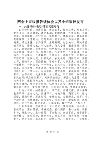 两会上审议报告谈体会以及小组审议发言