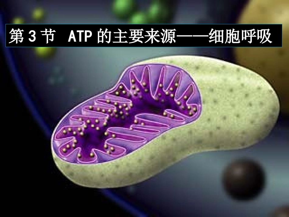ATP的主要来源—细胞呼吸_第1页