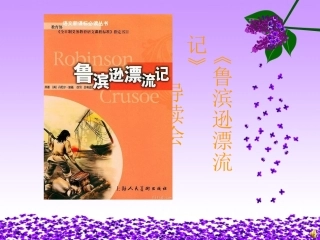 鲁滨逊漂流记