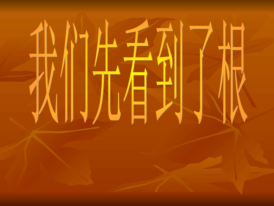 第3课、我们先看到了根_第1页