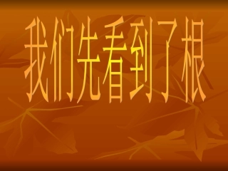 第3课、我们先看到了根