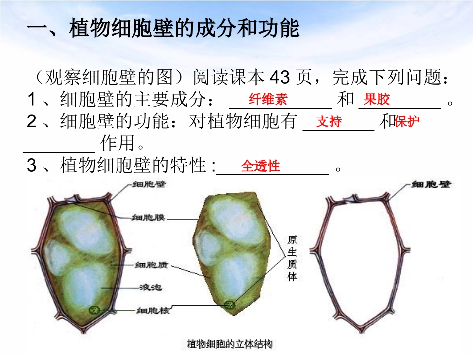 细胞膜系统的边界课件_第3页