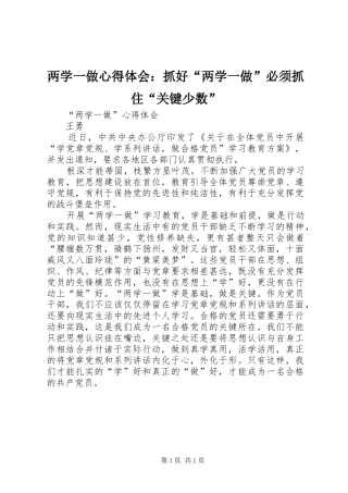 两学一做心得体会：抓好“两学一做”必须抓住“关键少数”