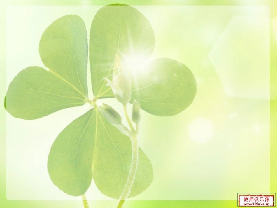 外研社六年级上册Module-7-unit-1-I-don't-believe-it_第2页