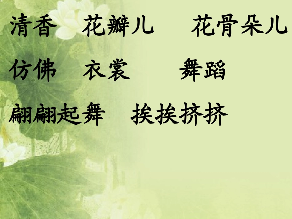 荷花miao_第2页