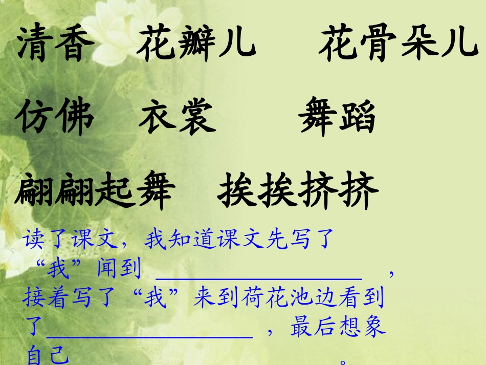荷花miao_第3页