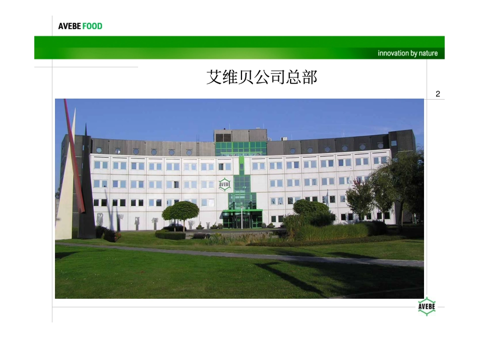 Avebe变性淀粉介绍_第2页