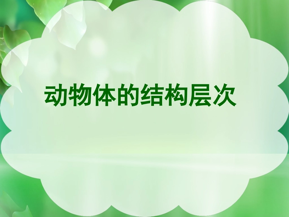 动物体的结构层次3_第1页