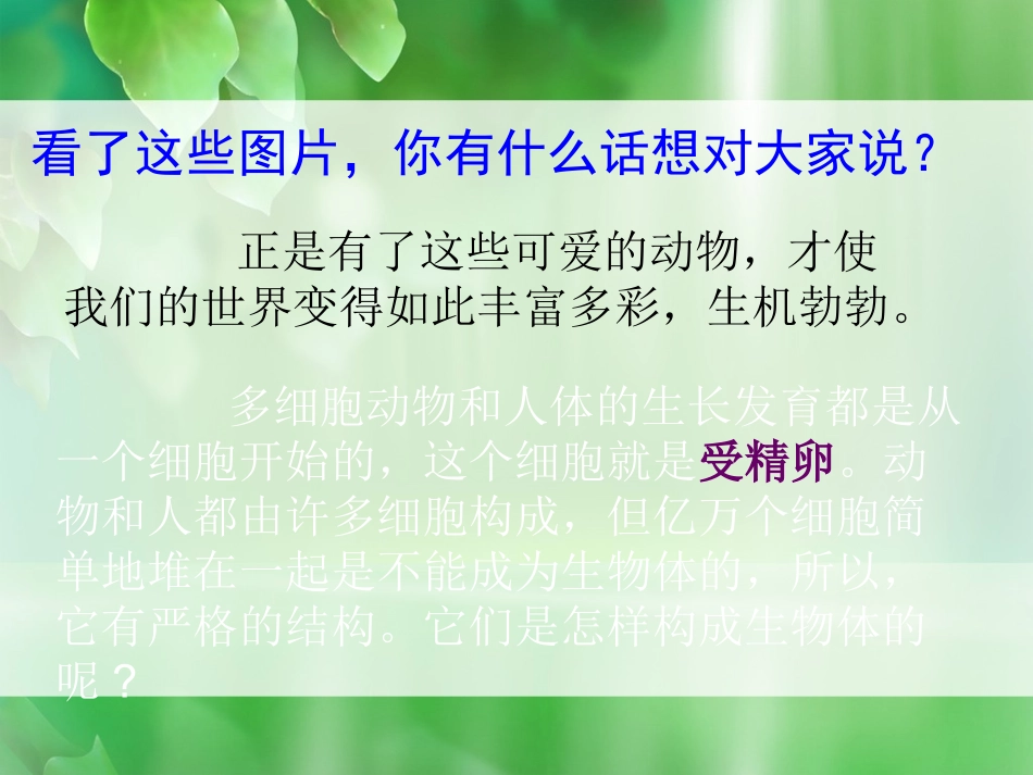 动物体的结构层次3_第3页