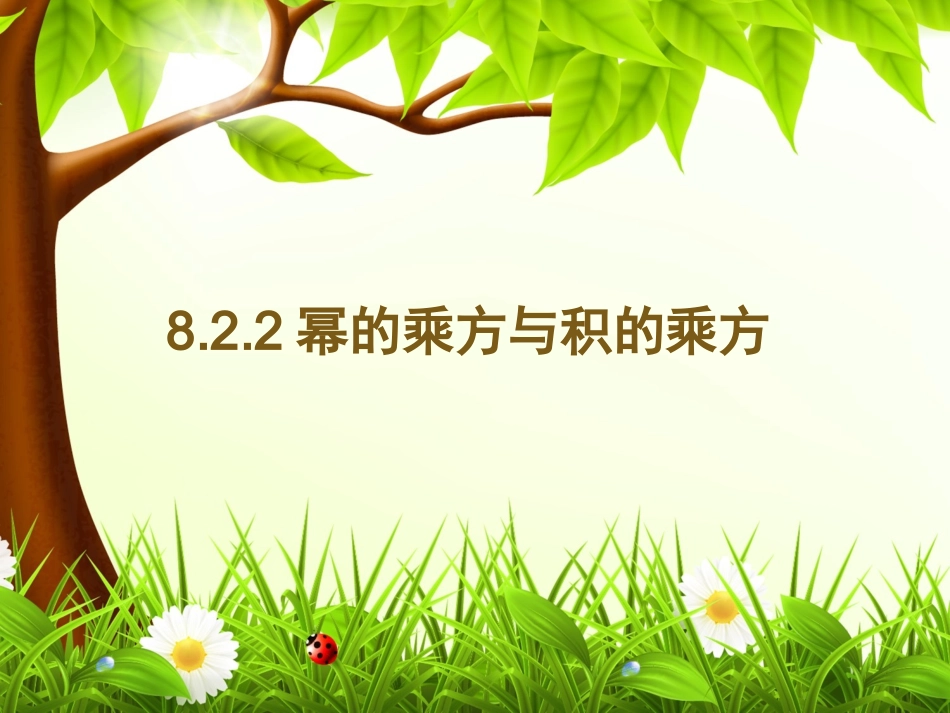 8.2.2幂的乘方与积的乘方.2.2幂的乘方与积的乘方_第2页