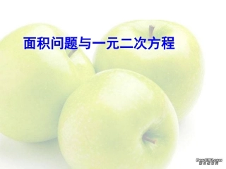 面积问题与一元二次方程