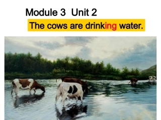 Unit2Thecowsaredrinkingwater.