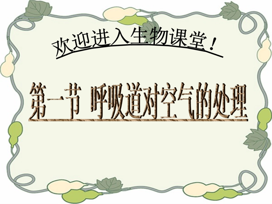 《第一节-呼吸道对空气的处理》课件2_第1页