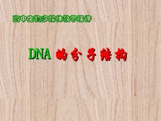 3.2《DNA分子的结构》课件12