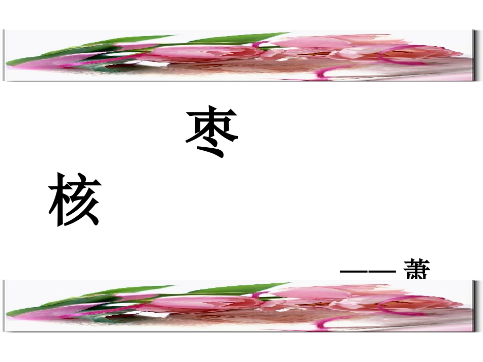 公开课-枣核_第2页