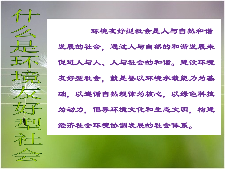 建设环境友好型社会_第2页