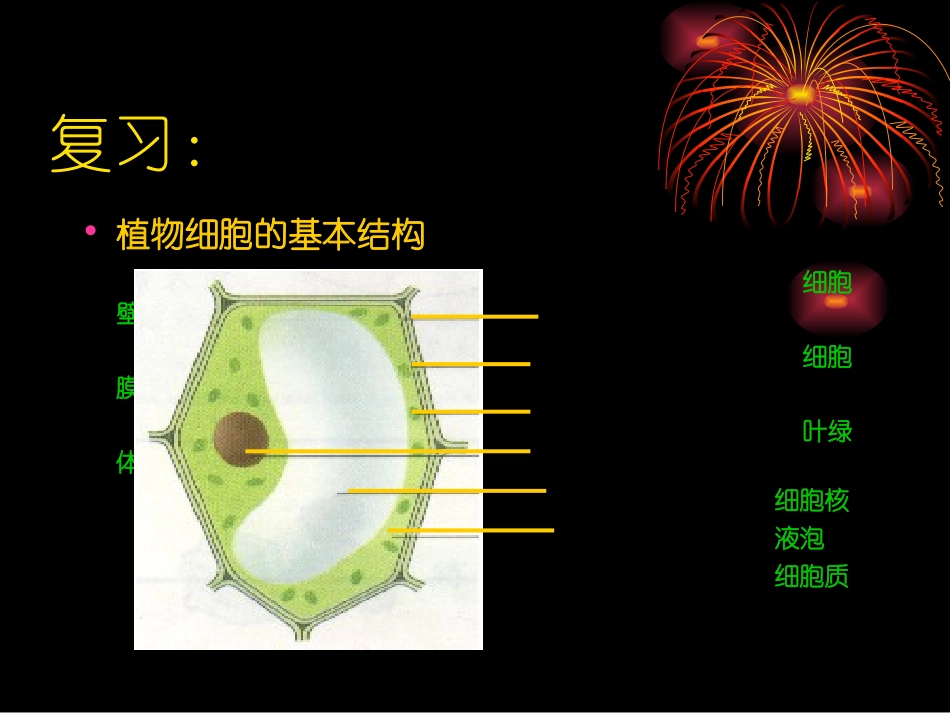 细胞的生活-(2)_第3页