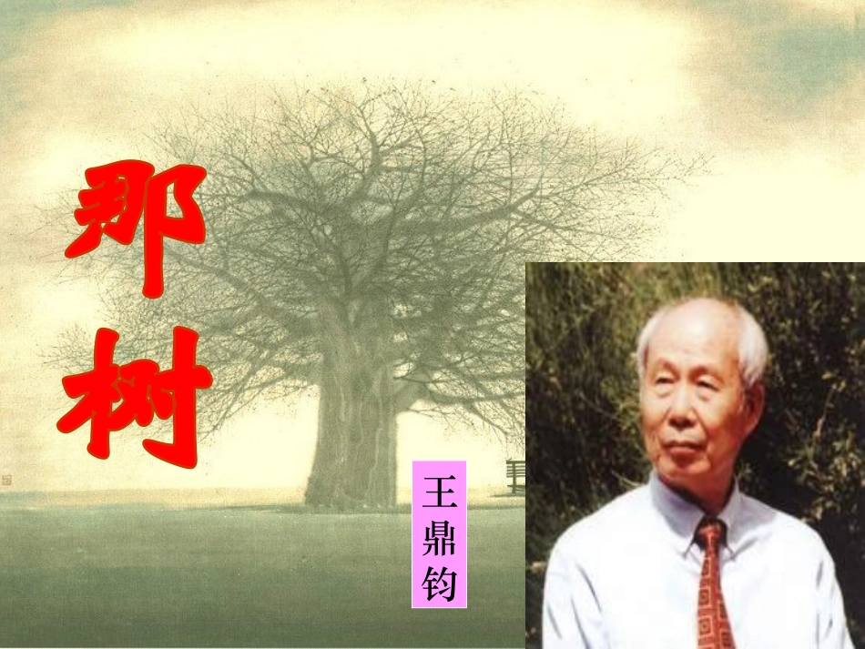 那树公开课课件_第2页