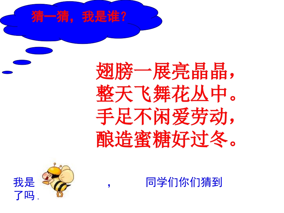 《蜜蜂引路》课件1_第1页