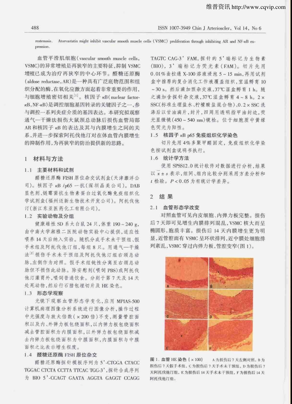 阿托伐他汀对大鼠再狭窄血管醛糖还原酶表达及内膜增生的抑制作用_第2页
