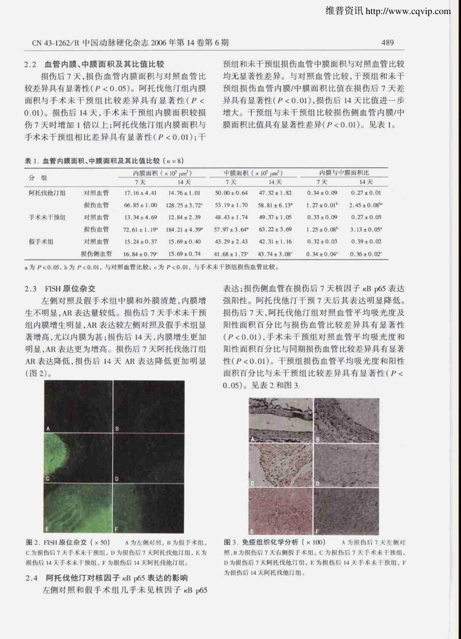 阿托伐他汀对大鼠再狭窄血管醛糖还原酶表达及内膜增生的抑制作用_第3页