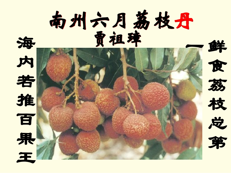南州六月荔枝丹课件_第1页