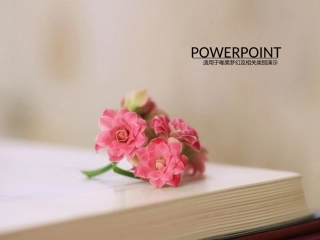 鲜花唯美精致类PPT模板